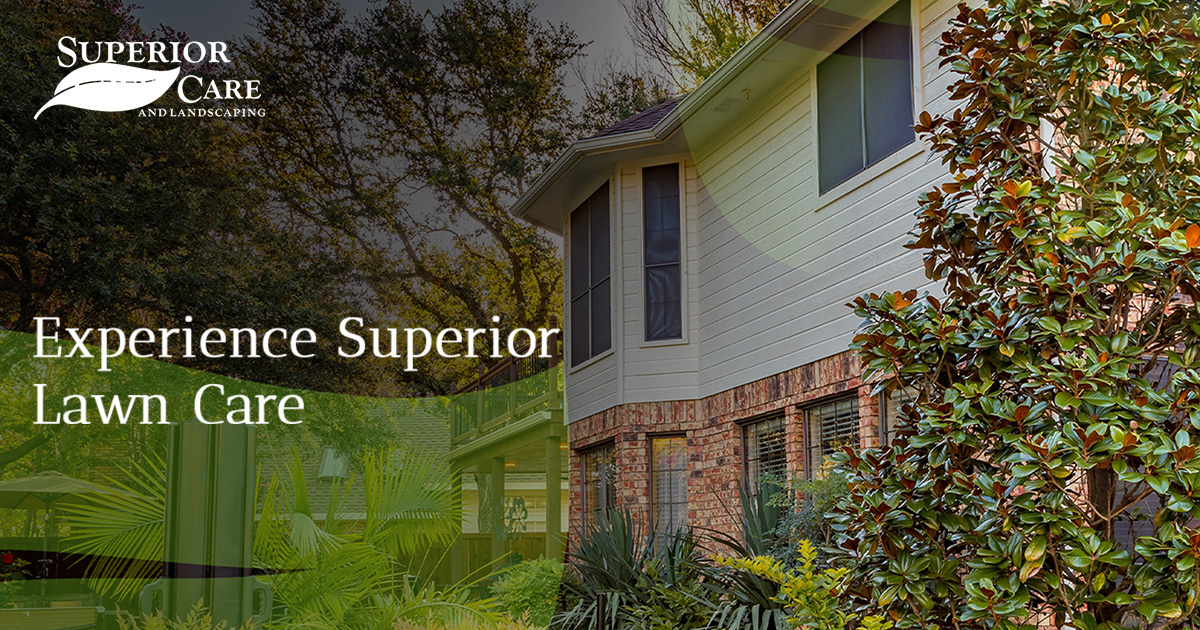 Lawn Care Katy, TX Superior Lawn Care