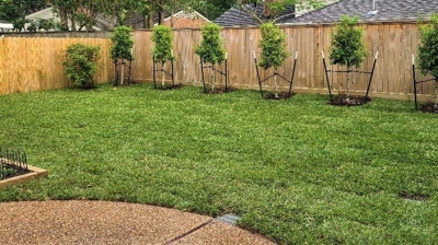 Irrigation & Drainage Photo