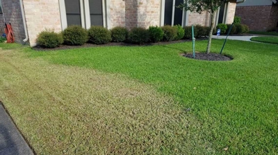 Landscaping Photo