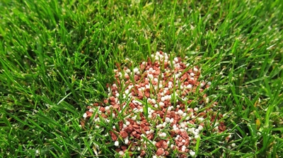 Lawn Fertilizer Photo