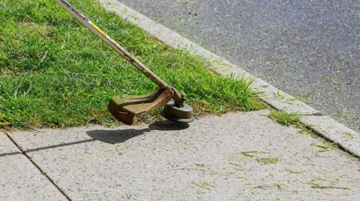 Lawn Maintenance Photo