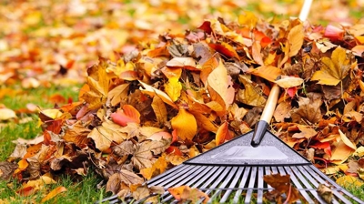 Lawn Maintenance Photo