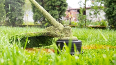 Lawn Maintenance Photo