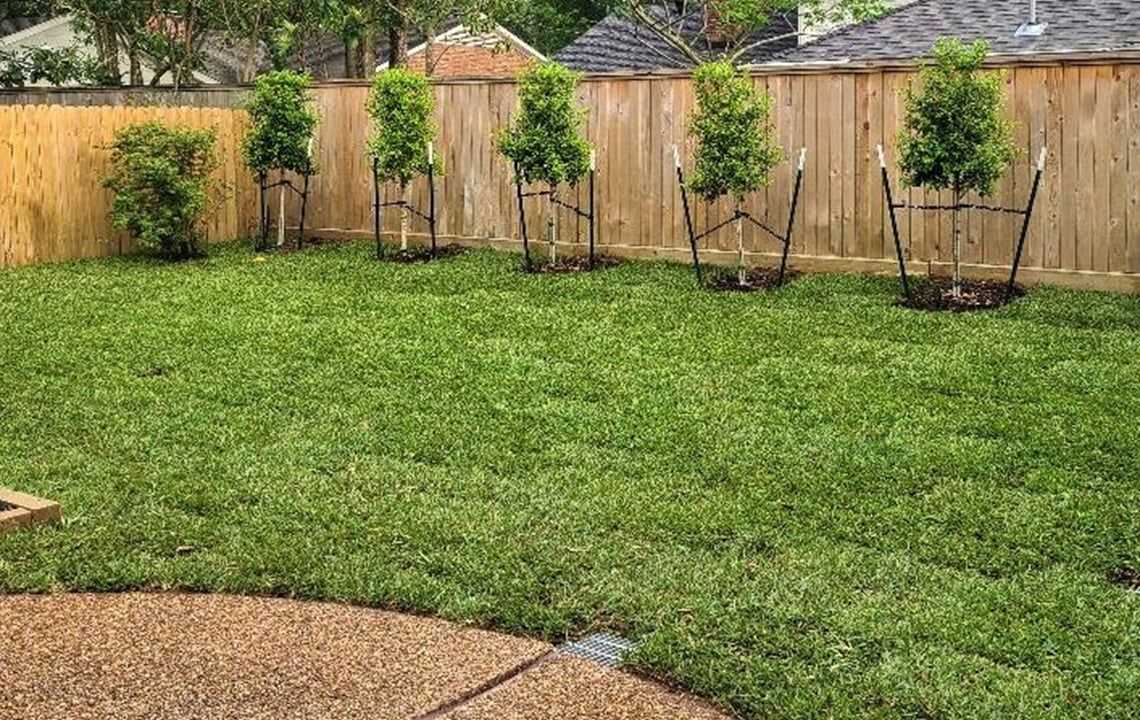 sprinklers in a yard