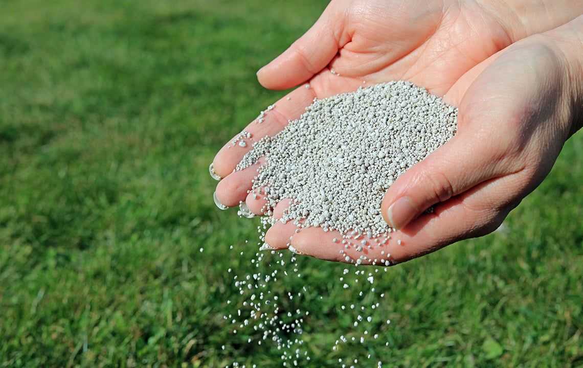 fertilizer in hands