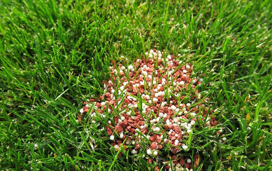 fertilizer in a lawn
